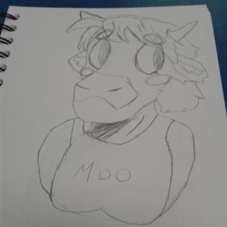 Cow Bust